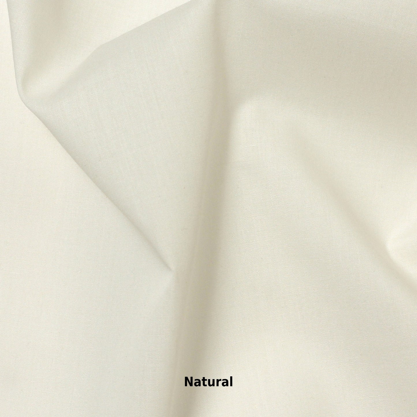 ELIZ61 | Shirting Fabric